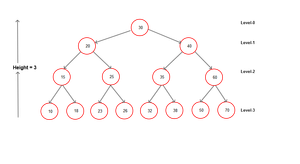 Binary Search